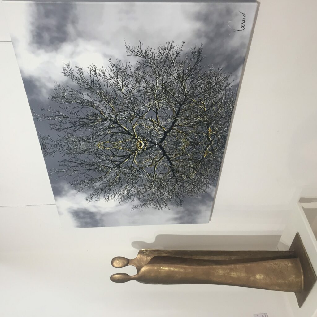 16 > 22/08/2021 Galerie Casablu (Valbonne - Sud de la France)